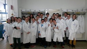 14_basf_8d