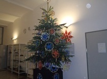 15_Vorbereitungen f�r Weihnachtsmarkt 01