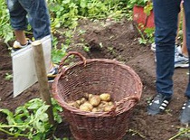 Schulgarten-Projekt  Modul: Naturbeobachtung & Lebensrume  Klasse 8