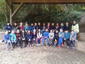 Klasse 5d