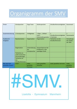 SMV Organigramm